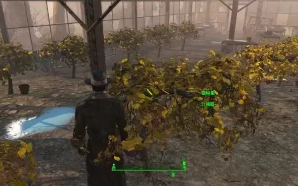 《辐射4》作物无法选中？原因解析及修复方法