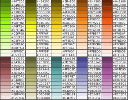 《球球大作战》名字颜色设置与使用指南
