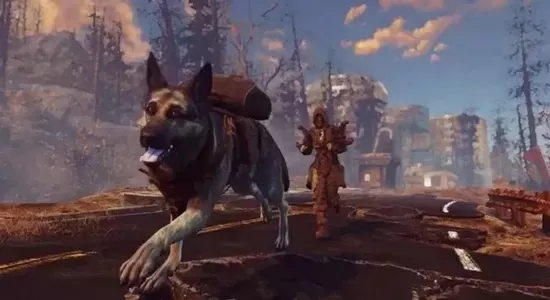 《辐射4》恢复狗伙伴方法及步骤详解