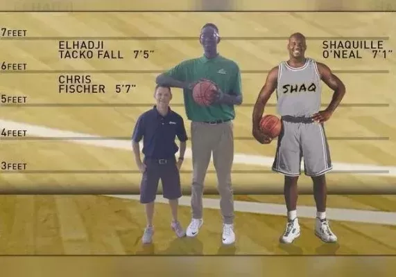 NBA 2K22控卫身高体重优化指南：打造理想控卫身材