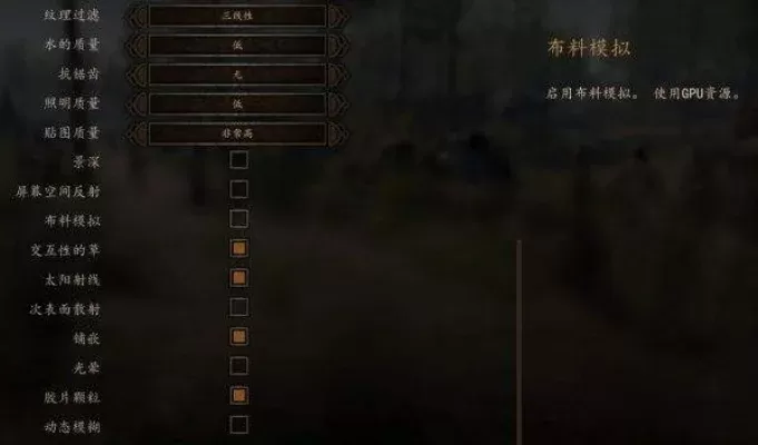 优化《骑马与砍杀2》流畅度指南